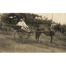 Photo from page 17 of album WWI Photograph Album - Occupation of Samoa