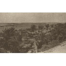 Photo from page 06 of album WWI Photograph Album- Sinai, Palestine and England