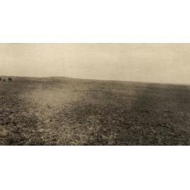 Photo from page 06 of album WWI Photograph Album- Sinai, Palestine and England