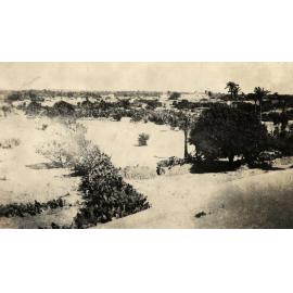 Photo from page 04 of album WWI Photograph Album- Gallipoli, Sinai & Palestine