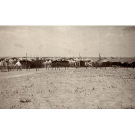 Photo from page 04 of album WWI Photograph Album- Gallipoli, Sinai & Palestine