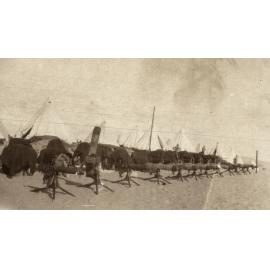 Photo from page 07 of album WWI Photograph Album- Gallipoli, Sinai & Palestine