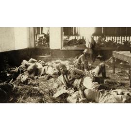 Photo from page 07 of album WWI Photograph Album- Gallipoli, Sinai & Palestine