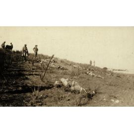Photo from page 07 of album WWI Photograph Album- Gallipoli, Sinai & Palestine