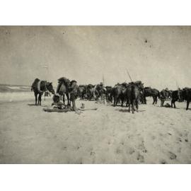 Photo from page 08 of album WWI Photograph Album- Gallipoli, Sinai & Palestine