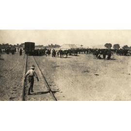 Photo from page 08 of album WWI Photograph Album- Gallipoli, Sinai & Palestine
