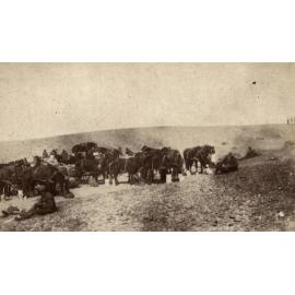 Photo from page 09 of album WWI Photograph Album- Gallipoli, Sinai & Palestine