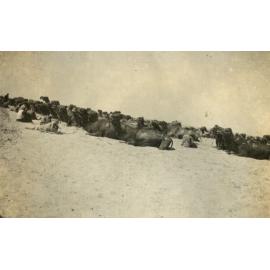 Photo from page 10 of album WWI Photograph Album- Gallipoli, Sinai & Palestine