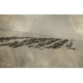 Photo from page 10 of album WWI Photograph Album- Gallipoli, Sinai & Palestine