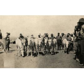 Photo from page 10 of album WWI Photograph Album- Gallipoli, Sinai & Palestine