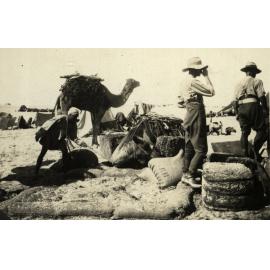Photo from page 10 of album WWI Photograph Album- Gallipoli, Sinai & Palestine