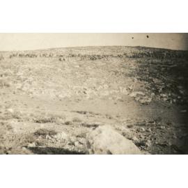Photo from page 11 of album WWI Photograph Album- Gallipoli, Sinai & Palestine