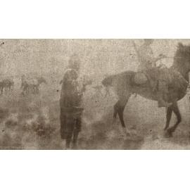 Photo from page 19 of album WWI Photograph Album- Gallipoli, Sinai & Palestine