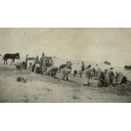 Photo from page 20 of album WWI Photograph Album- Gallipoli, Sinai & Palestine