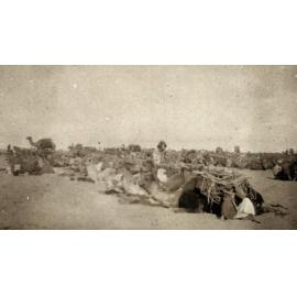 Photo from page 20 of album WWI Photograph Album- Gallipoli, Sinai & Palestine