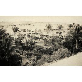 Photo from page 21 of album WWI Photograph Album- Gallipoli, Sinai & Palestine