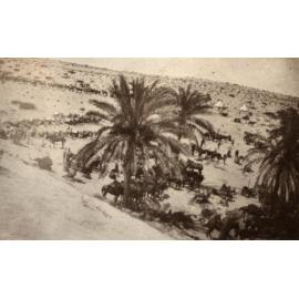 Photo from page 28 of album WWI Photograph Album- Gallipoli, Sinai & Palestine