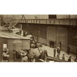 Photo from page 04 of album WWI Photograph Album- Egypt and Gallipoli