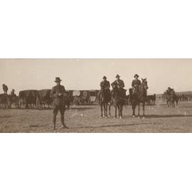 Photo from page 07 of album WWI Photograph Album- Egypt and Gallipoli