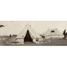 Photo from page 09 of album WWI Photograph Album- Egypt and Gallipoli