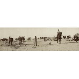 Photo from page 09 of album WWI Photograph Album- Egypt and Gallipoli