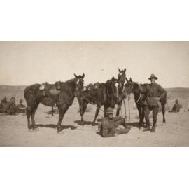 Photo from page 11 of album WWI Photograph Album- Egypt and Gallipoli
