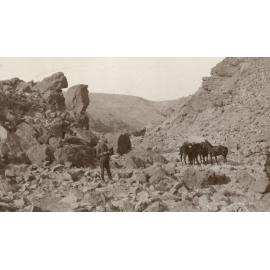Photo from page 11 of album WWI Photograph Album- Egypt and Gallipoli