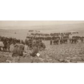 Photo from page 11 of album WWI Photograph Album- Egypt and Gallipoli