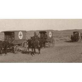 Photo from page 12 of album WWI Photograph Album- Egypt and Gallipoli