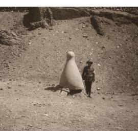 Photo from page 17 of album WWI Photograph Album- Egypt and Gallipoli