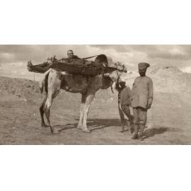 Photo from page 21 of album WWI Photograph Album- Egypt and Gallipoli