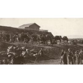 Photo from page 21 of album WWI Photograph Album- Egypt and Gallipoli