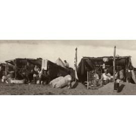 Photo from page 21 of album WWI Photograph Album- Egypt and Gallipoli