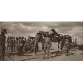 Photo from page 21 of album WWI Photograph Album- Egypt and Gallipoli