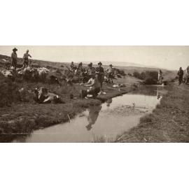 Photo from page 22 of album WWI Photograph Album- Egypt and Gallipoli