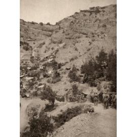 Photo from page 24 of album WWI Photograph Album- Egypt and Gallipoli
