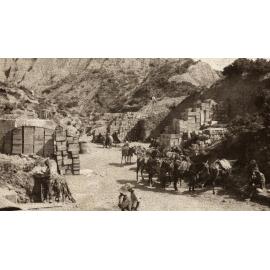 Photo from page 24 of album WWI Photograph Album- Egypt and Gallipoli