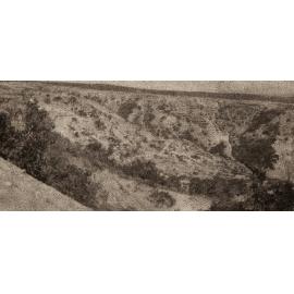 Photo from page 24 of album WWI Photograph Album- Egypt and Gallipoli