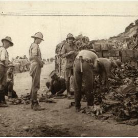 Photo from page 25 of album WWI Photograph Album- Egypt and Gallipoli