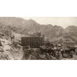 Photo from page 26 of album WWI Photograph Album- Egypt and Gallipoli