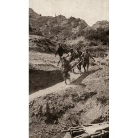 Photo from page 27 of album WWI Photograph Album- Egypt and Gallipoli