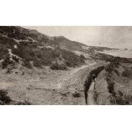 Photo from page 28 of album WWI Photograph Album- Egypt and Gallipoli