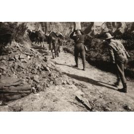 Photo from page 28 of album WWI Photograph Album- Egypt and Gallipoli