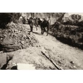 Photo from page 28 of album WWI Photograph Album- Egypt and Gallipoli