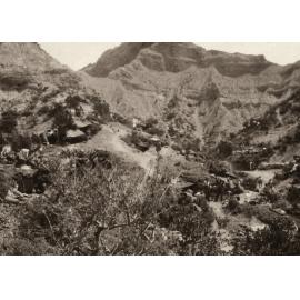 Photo from page 28 of album WWI Photograph Album- Egypt and Gallipoli