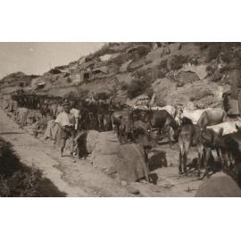 Photo from page 29 of album WWI Photograph Album- Egypt and Gallipoli