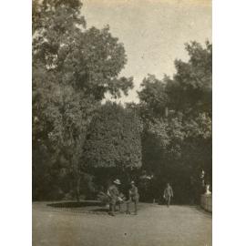 Photo from page 07 of album WWI Photograph Album- Sinai & Palestine