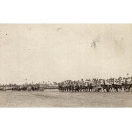 Photo from page 10 of album WWI Photograph Album- Sinai & Palestine