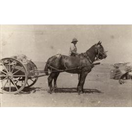 Photo from page 10 of album WWI Photograph Album- Sinai & Palestine