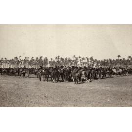 Photo from page 11 of album WWI Photograph Album- Sinai & Palestine